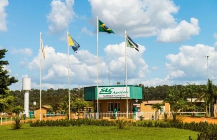 SLC Agrícola tem prejuízo de R$51 milhões no 4º tri