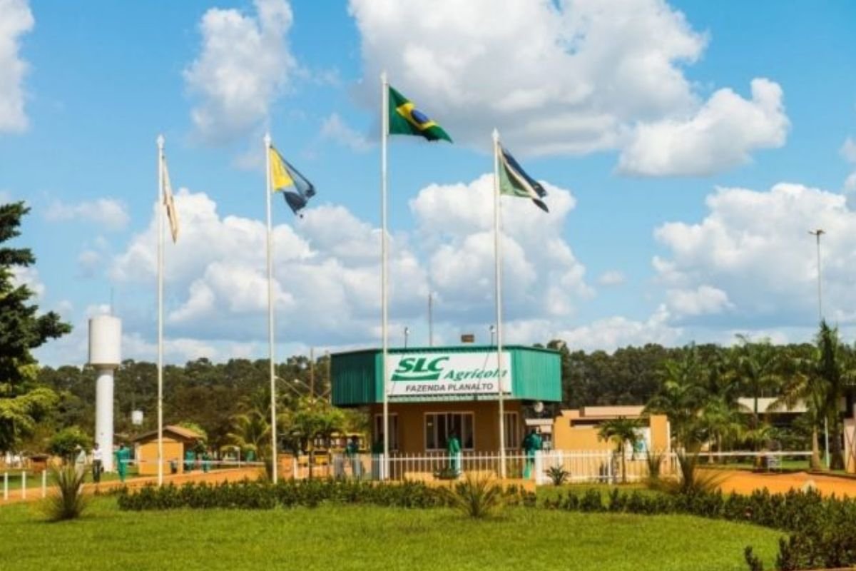 SLC Agrícola tem prejuízo de R$51 milhões no 4º tri