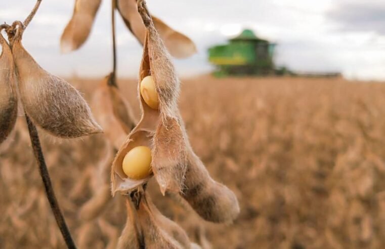 Safras reduz previsão de colheita de soja do Brasil para 172,45 mi t