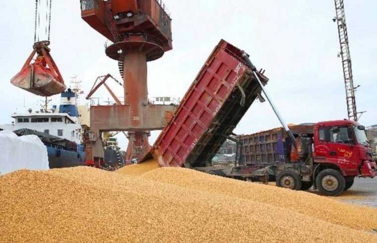 Com soja brasileira nos portos, China diz que pode abrir mão dos EUA