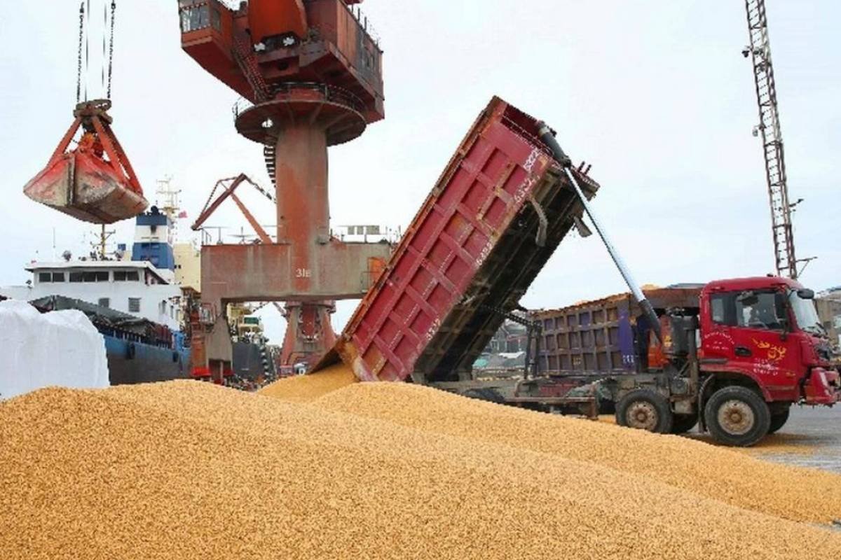 Com soja brasileira nos portos, China diz que pode abrir mão dos EUA