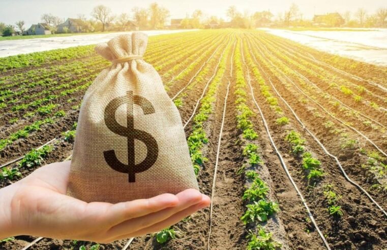 Crédito rural em risco: Plano Safra 2025/26 pode sofrer com juros altos e orçamento reduzido
