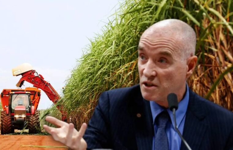 ‘Super cana’ de Eike Batista promete revolucionar etanol e atrai R$ 2,5 bi
