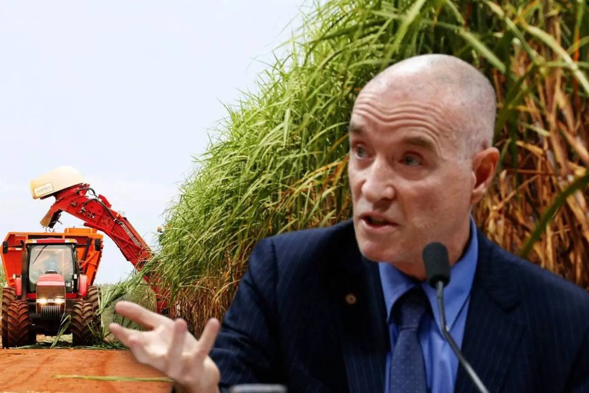 ‘Super cana’ de Eike Batista promete revolucionar etanol e atrai R$ 2,5 bi