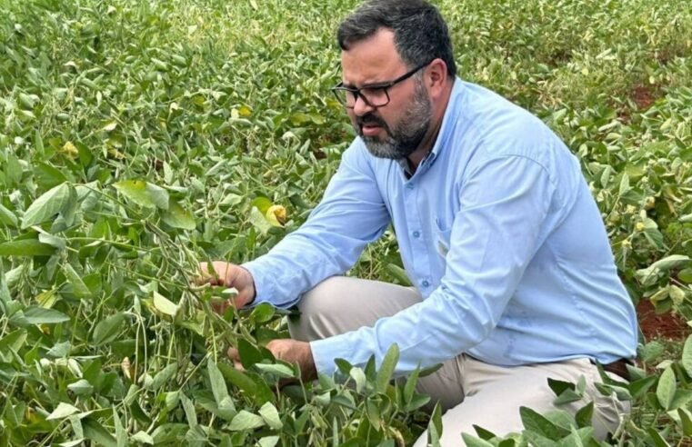 Safra ameaçada: Aprosoja MG alerta para perdas de até 40% nas lavouras