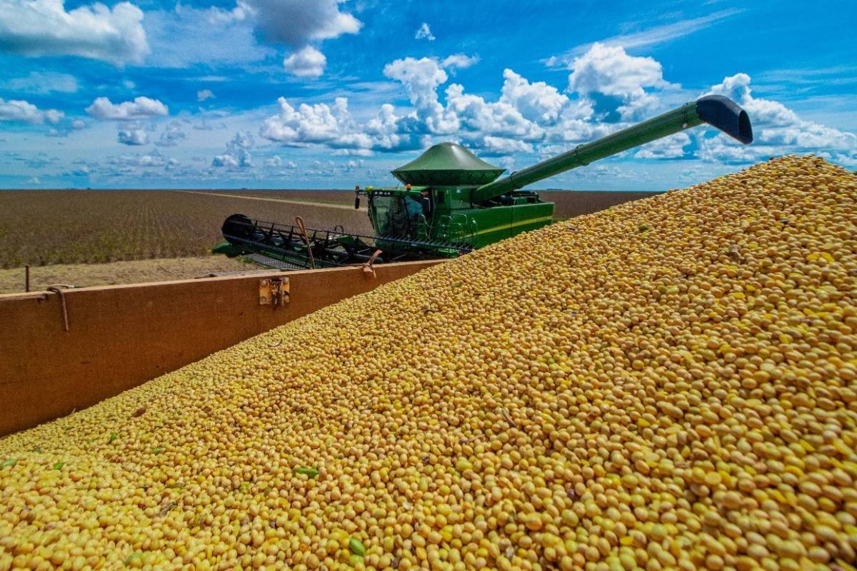 Mercado da soja inicia semana sem direção em Chicago com incertezas comerciais