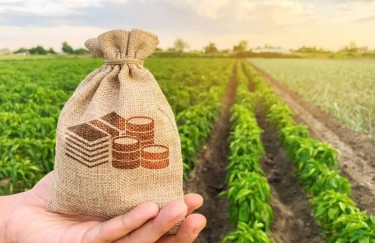 Cotações do Agro em Jataí: soja chega a R$118 e milho a R$73 nesta terça (22)