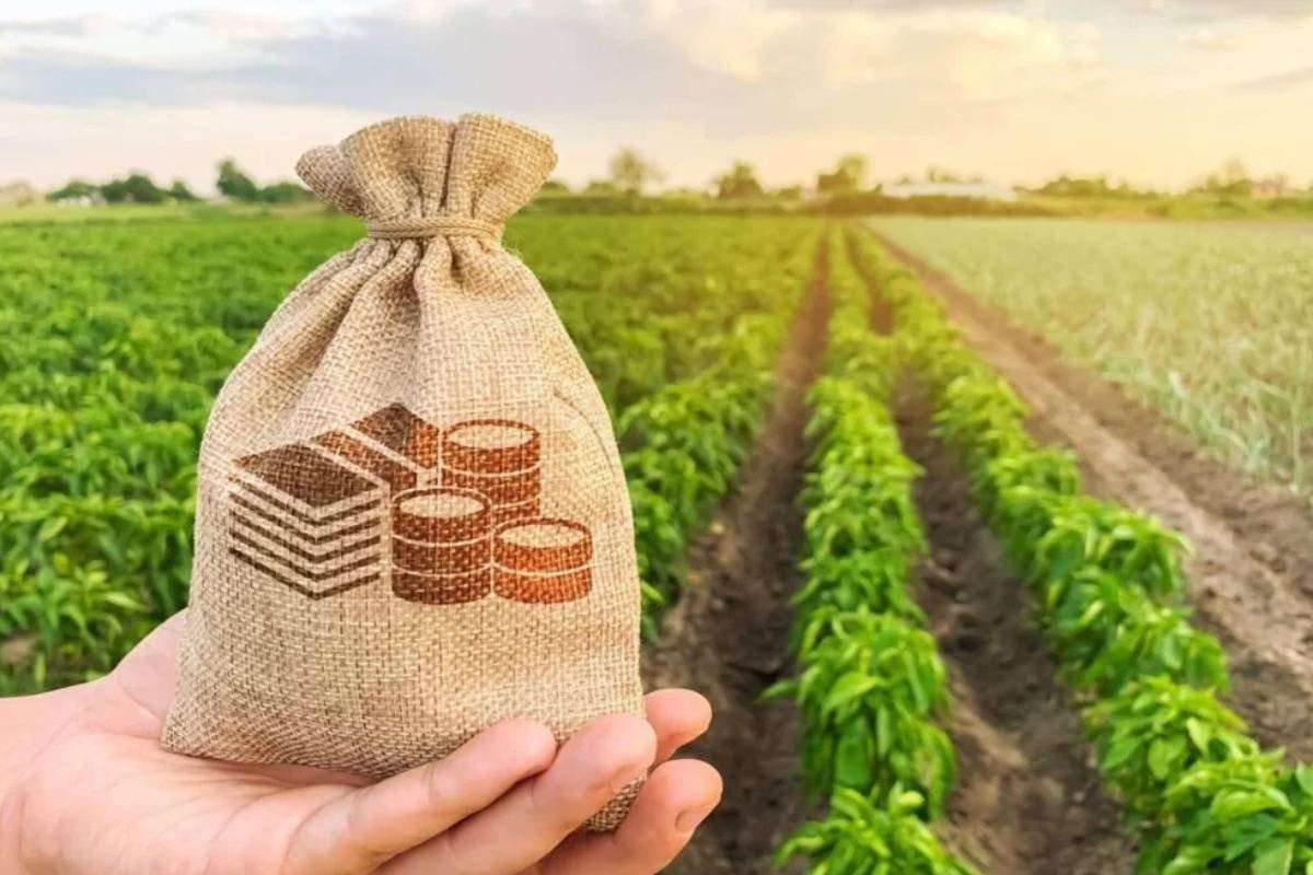 Cotações do Agro em Jataí: soja chega a R$118 e milho a R$73 nesta terça (22)