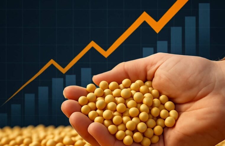Cotações da soja sobem pelo terceiro dia seguido na CBOT com cenário externo positivo