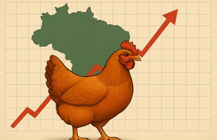 Frango brasileiro se valoriza nos países árabes com alta nos preços e exportações