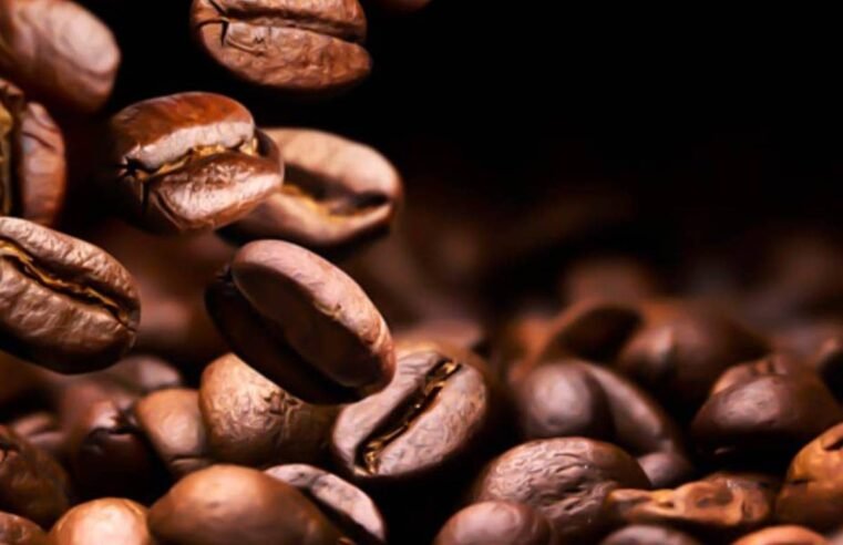 Café parado nos portos: 600 mil sacas não embarcam e perdas somam milhões