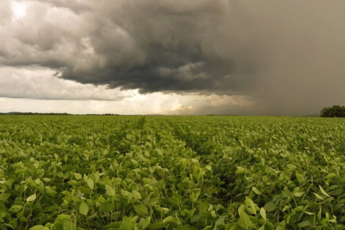 Último sábado de abril será marcado por fortes pancadas de chuva no Brasil