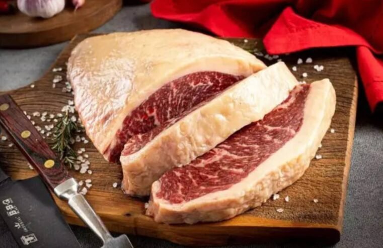 Brasil pode atender 30% da demanda anual de carne bovina do Vietnã
