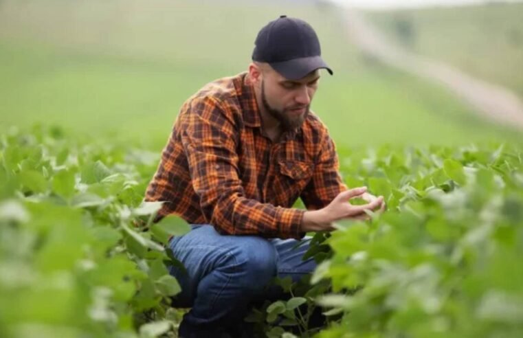 Escassez de trabalhadores qualificados no setor rural impacta produtividade do agronegócio brasileiro