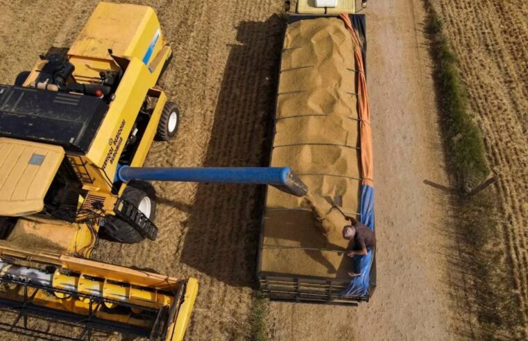 Juros maiores no Plano Safra acendem alerta sobre competitividade do agro brasileiro