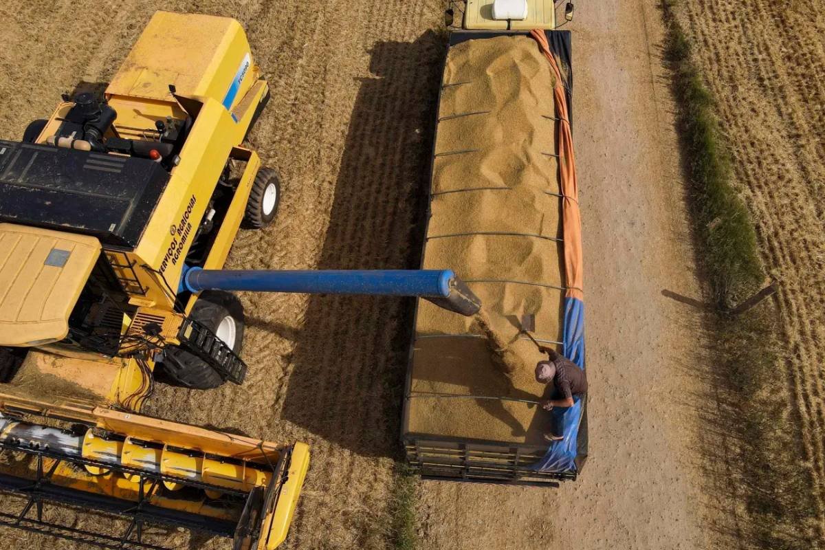 Juros maiores no Plano Safra acendem alerta sobre competitividade do agro brasileiro