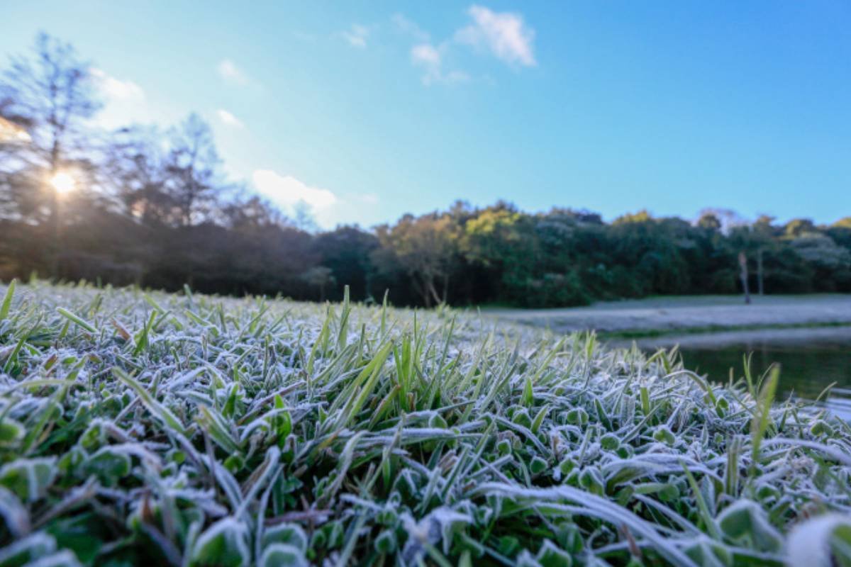 Maio começa com alerta: frio, geadas e chuva devem marcar o mês em todo o Brasil