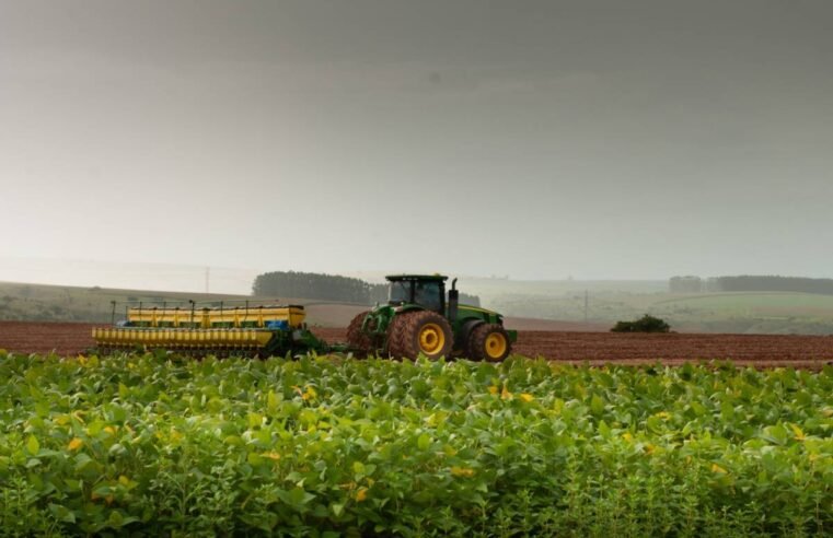 Preços do agro em Jataí indicam equilíbrio na soja e queda pontual no milho