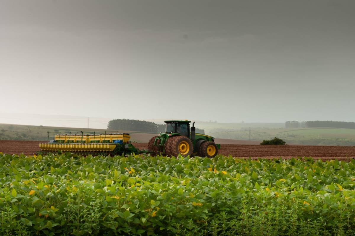 Preços do agro em Jataí indicam equilíbrio na soja e queda pontual no milho