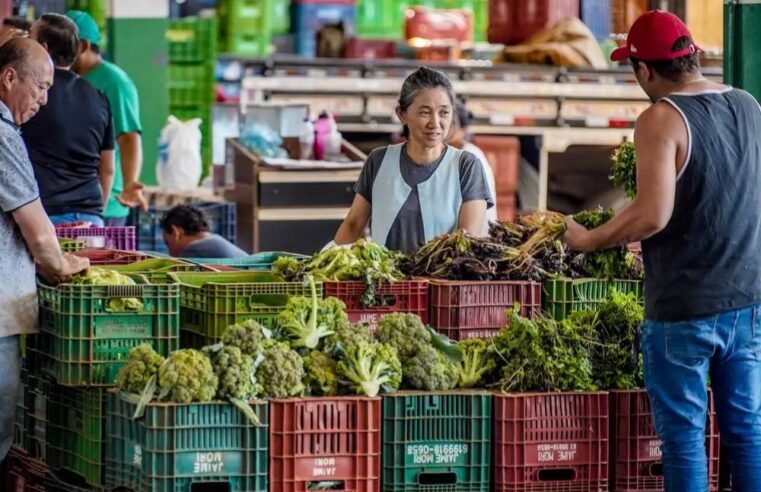 Anvisa inicia novo ciclo de monitoramento de resíduos de agrotóxicos em alimentos