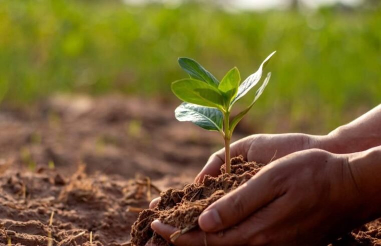 Brasil ganha seu primeiro laboratório agrícola dedicado à saúde de solo