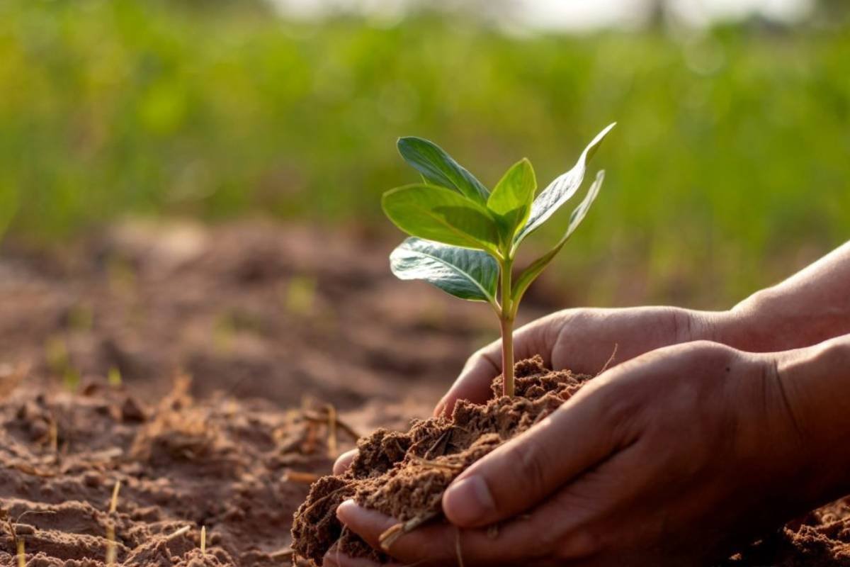 Brasil ganha seu primeiro laboratório agrícola dedicado à saúde de solo