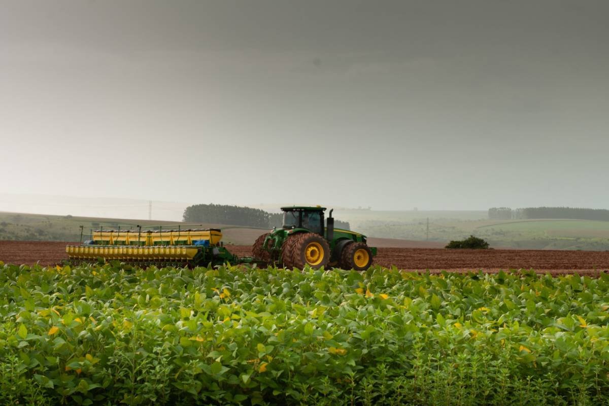 Confira as cotações agrícolas e pecuárias do Sindicato Rural de Jataí em 06/05