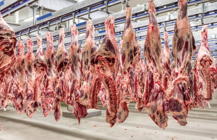 Cooperação entre Brasil e Tailândia mira reabertura de mercado de carnes