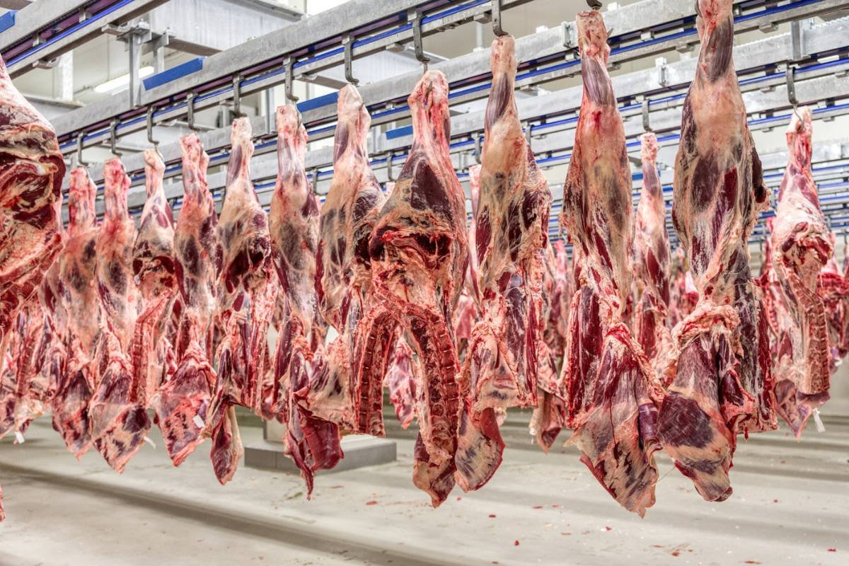 Cooperação entre Brasil e Tailândia mira reabertura de mercado de carnes