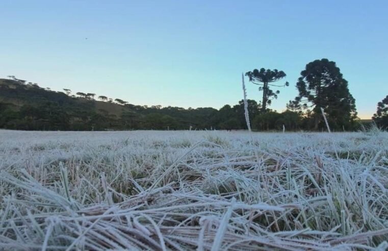 Frente fria traz geada no Sul e provoca chuvas fortes no litoral do Brasil