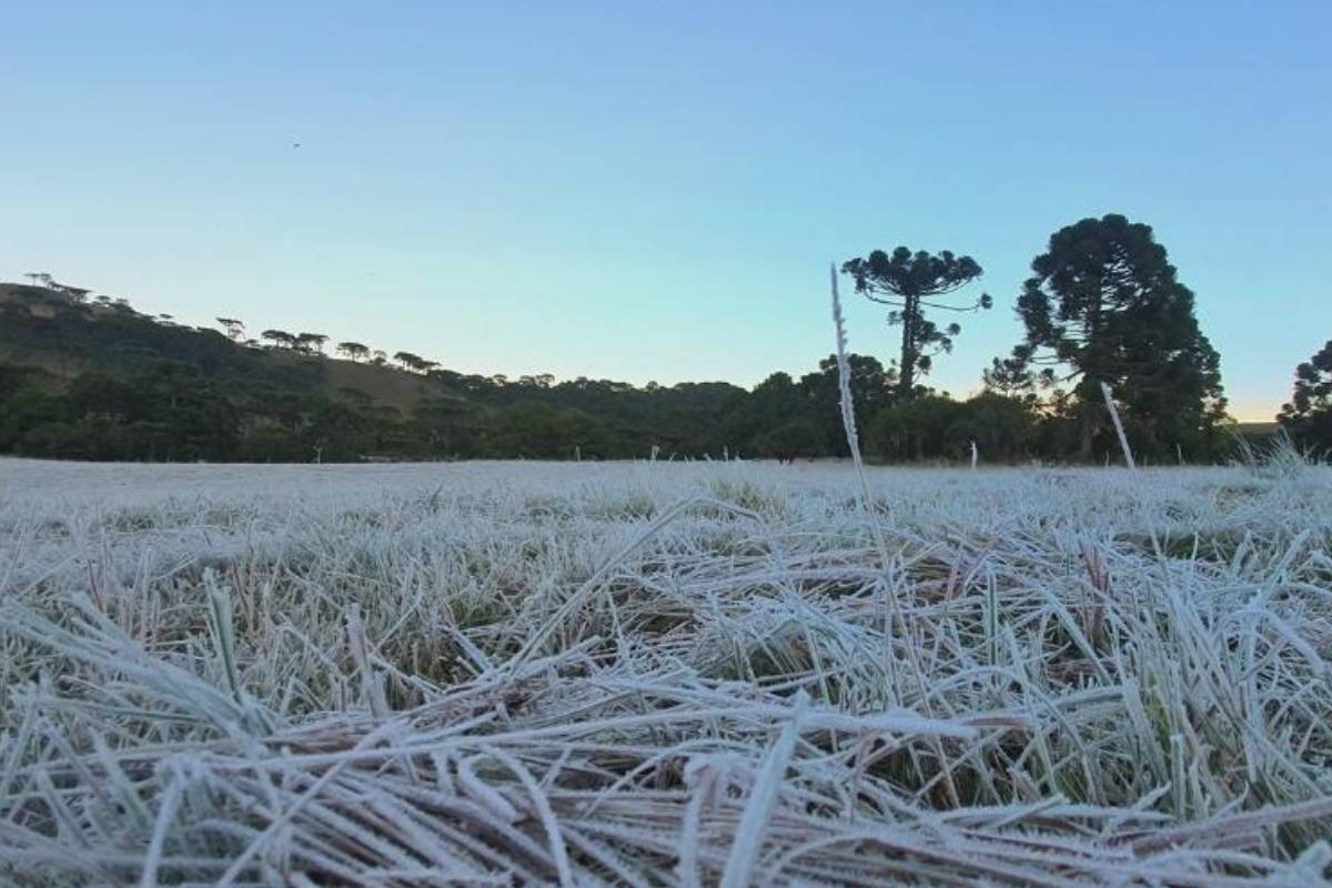 Frente fria traz geada no Sul e provoca chuvas fortes no litoral do Brasil