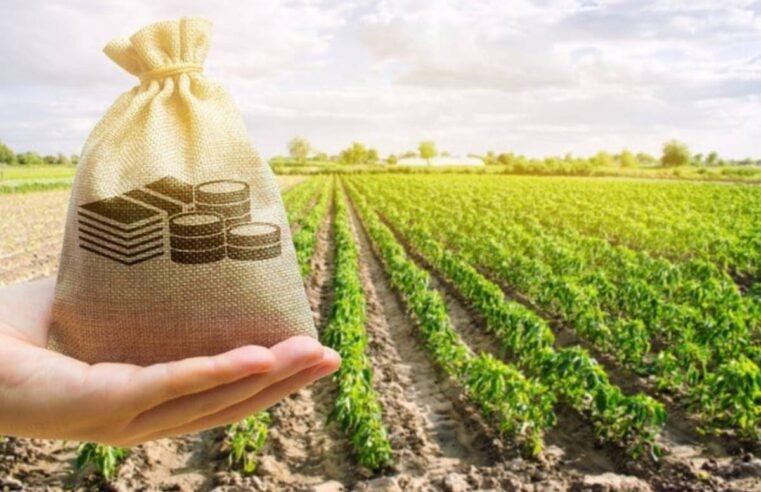 Adiamento de dívidas de produtores gaúchos será aprovado até sexta-feira, afirma ministro Fávaro