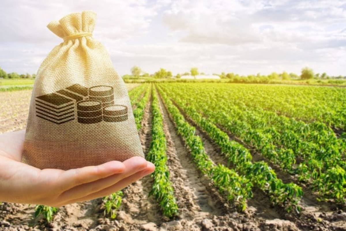 Adiamento de dívidas de produtores gaúchos será aprovado até sexta-feira, afirma ministro Fávaro