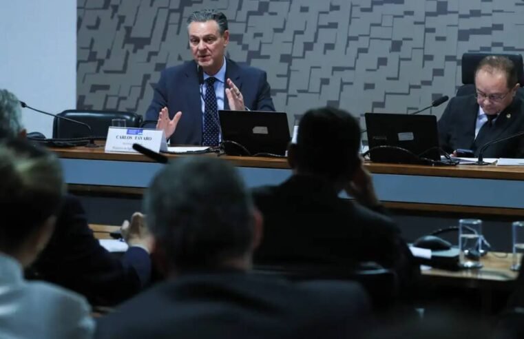 Ministro da Agricultura anuncia contenção de foco de gripe aviária no Rio Grande do Sul