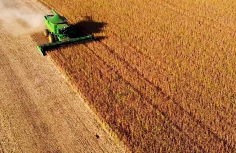 Colheita de soja 2024/25 no Brasil está praticamente concluída, aponta Conab