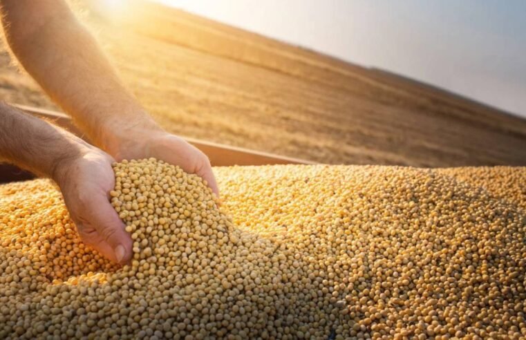 Novo acordo garante alívio fiscal para produtores de grãos no Maranhão