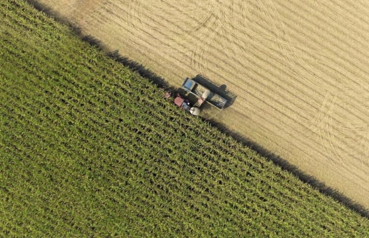 Período seco começa em Goiás e preocupa o setor agropecuário