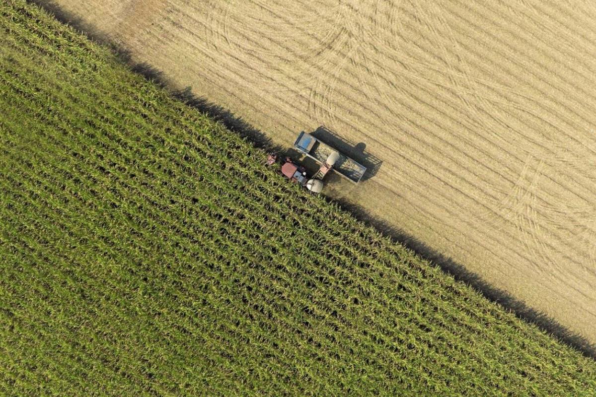 Período seco começa em Goiás e preocupa o setor agropecuário