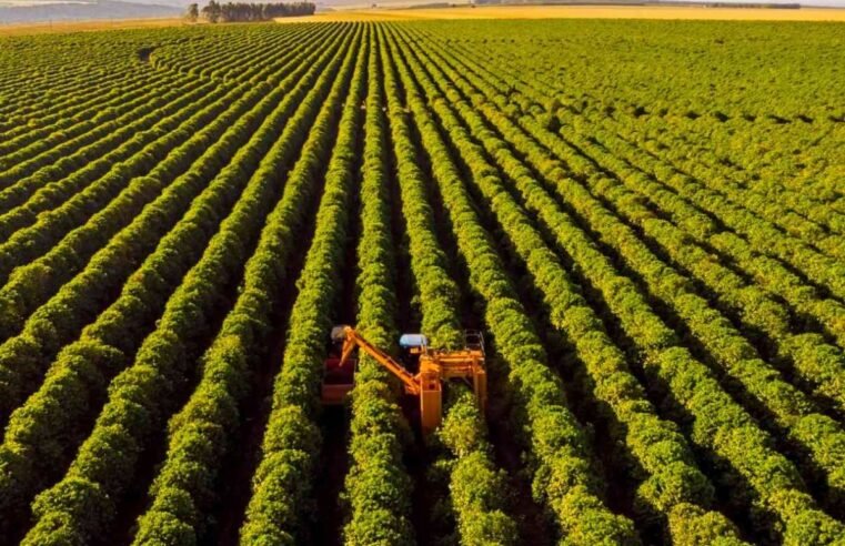 Cotações do Agro Sindicato Rural de Jataí para o dia 30 de maio de 2025