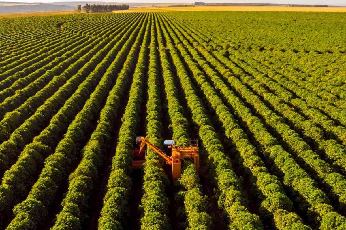 Cotações do Agro Sindicato Rural de Jataí para o dia 30 de maio de 2025