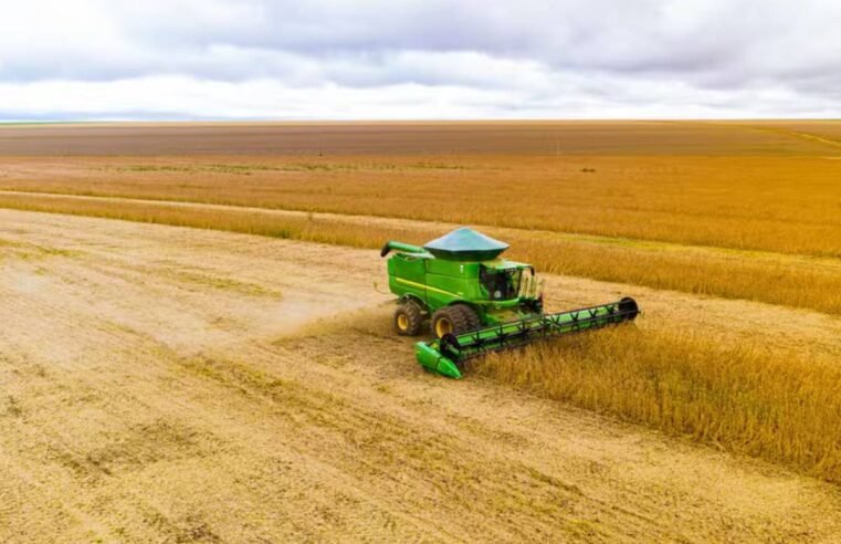 Produtores devem ficar atentos: governo define regras para plantio da soja em 2025/26