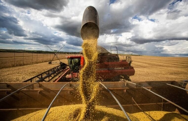 Safra 2024/25 de soja: colheita se aproxima do fim com ritmo acima da média histórica