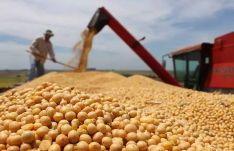 Soja fecha em queda na Bolsa de Chicago nesta sexta-feira, mas clima no Corn Belt segue no radar