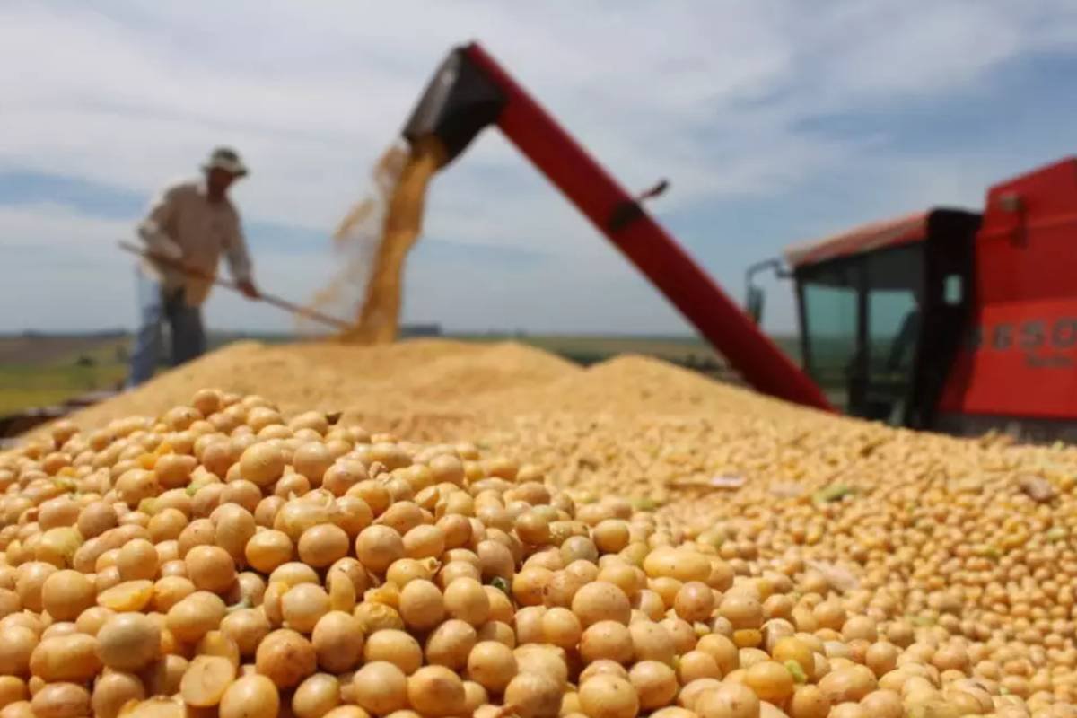 Soja fecha em queda na Bolsa de Chicago nesta sexta-feira, mas clima no Corn Belt segue no radar