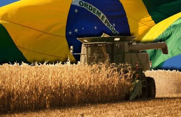 Cotações Agropecuárias do Sindicato Rural de Jataí para 05 de Junho de 2025