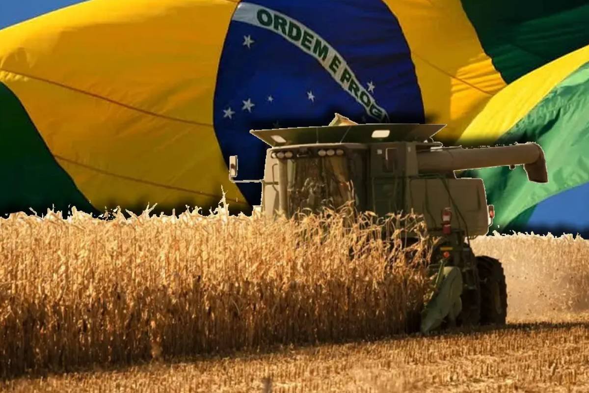 Cotações Agropecuárias do Sindicato Rural de Jataí para 05 de Junho de 2025