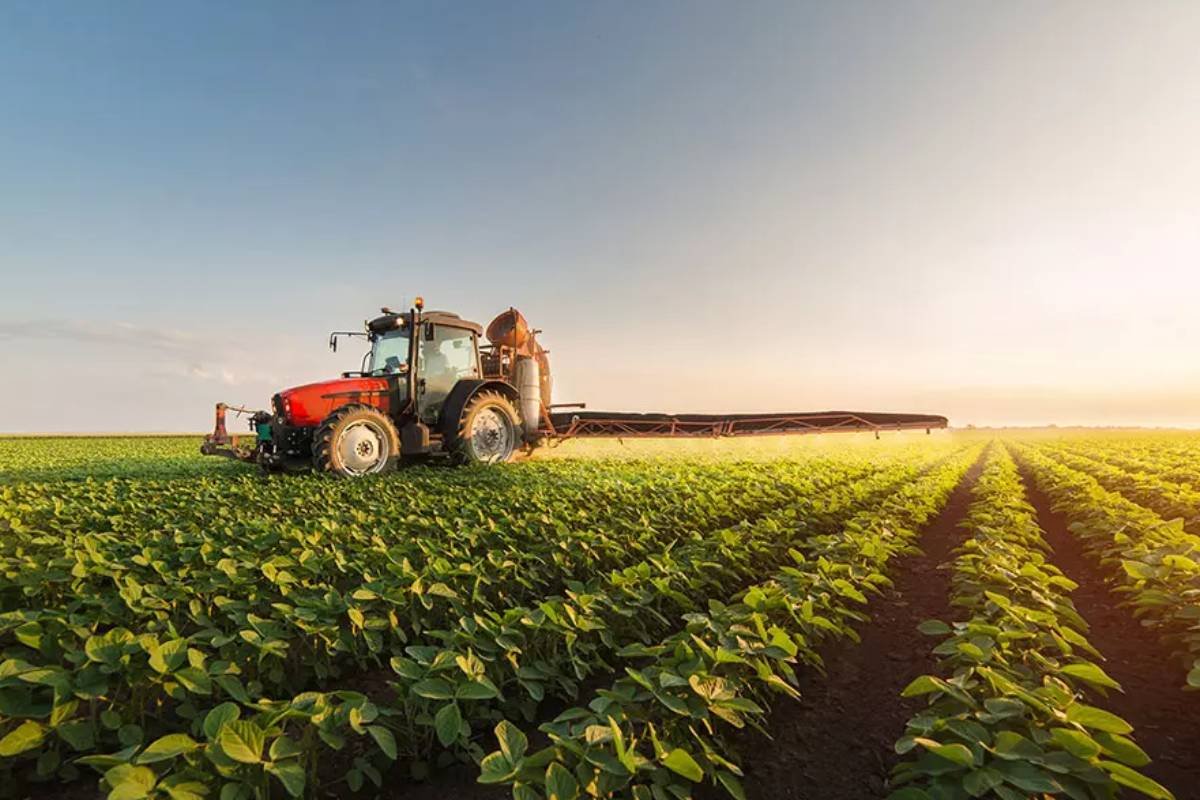 Justiça homologa plano de recuperação judicial da AgroGalaxy