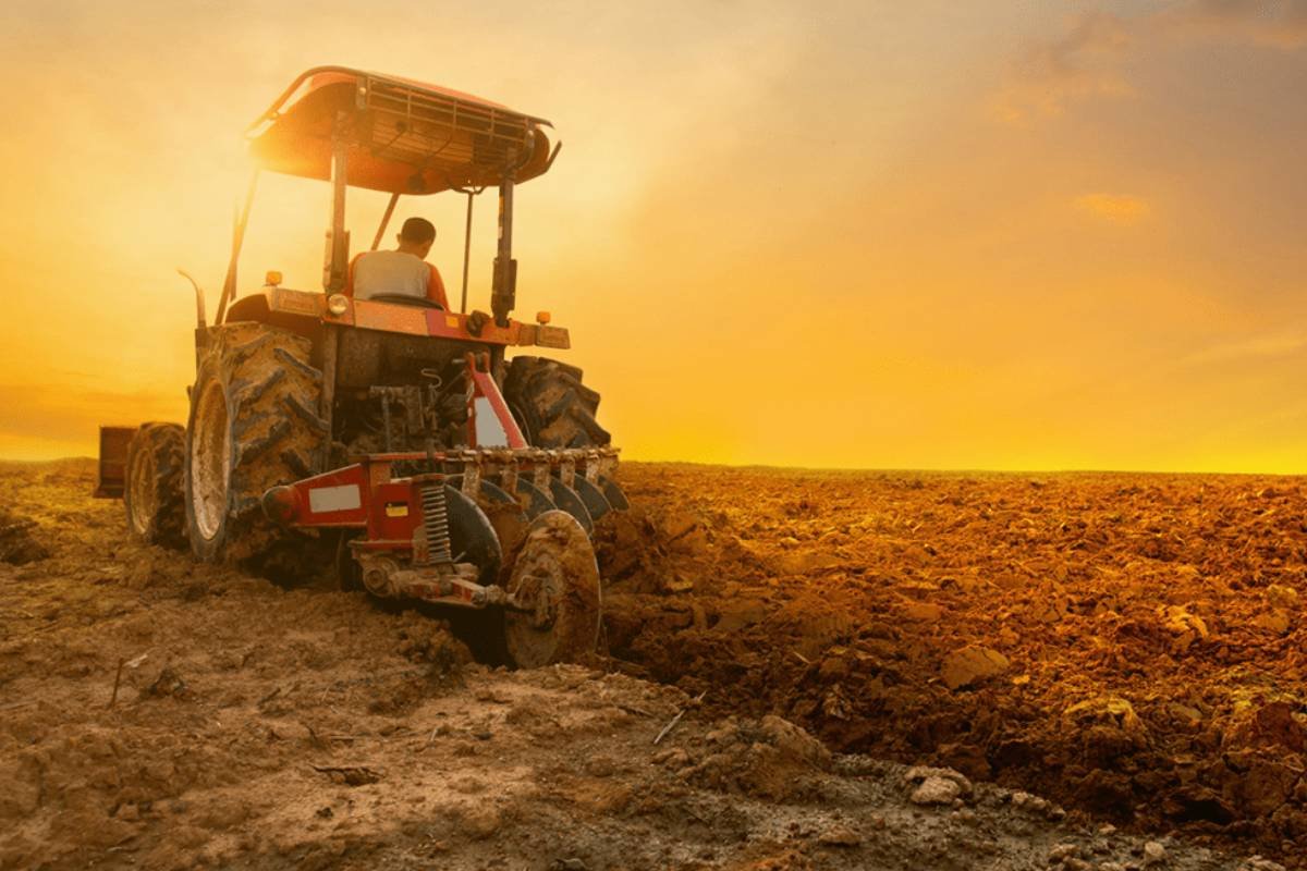 Cotações do Agro em Jataí: Soja alcança até R$120 e boi chega a R$300 nesta segunda (16)