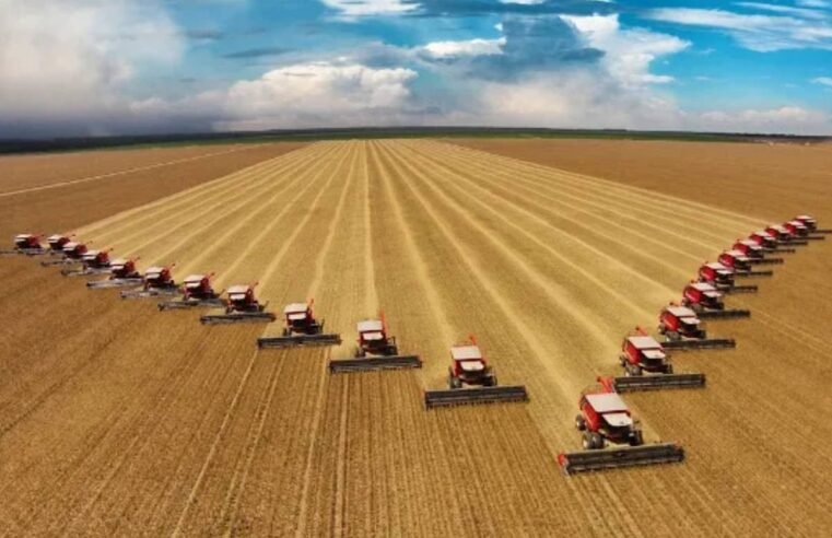 Cotações do Agro: confira os preços da soja, milho, cana, sorgo, pecuária e dólar em Jataí nesta terça (25)