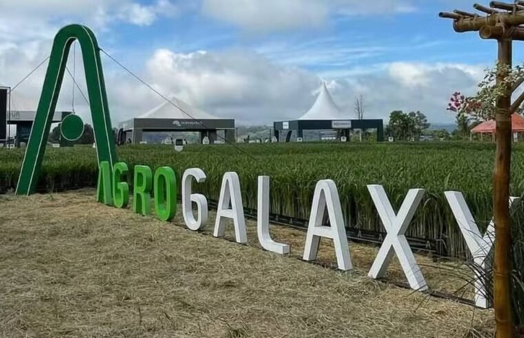 Juíza de Goiânia homologa plano de recuperação judicial do grupo AgroGalaxy